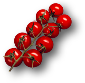 tomato